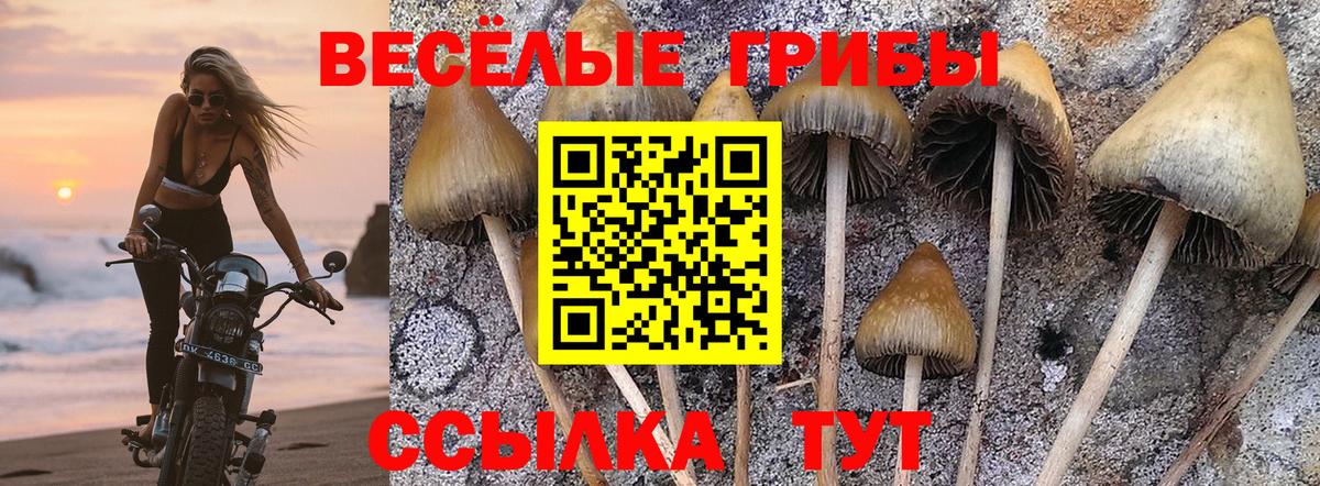 Галлюциногенные грибы Magic Shrooms Бутурлиновка