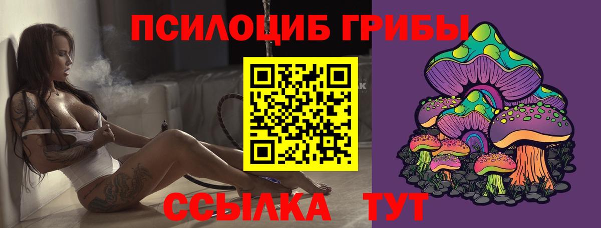 Псилоцибиновые грибы MAGIC MUSHROOMS  Вход с VPN  Бутурлиновка 